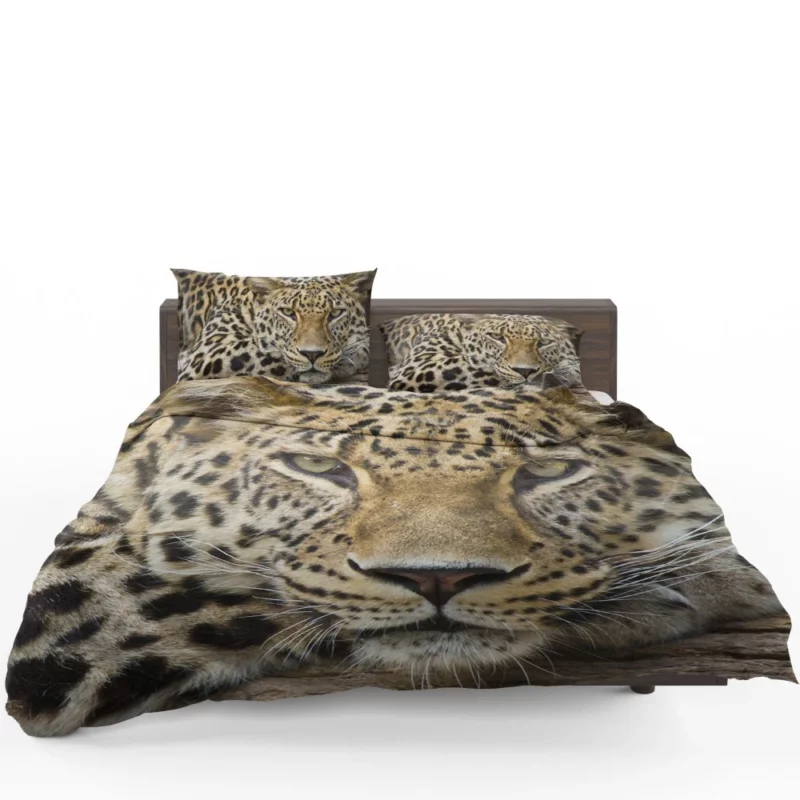 Graceful Leopard Enigmatic Charm Bedding Set