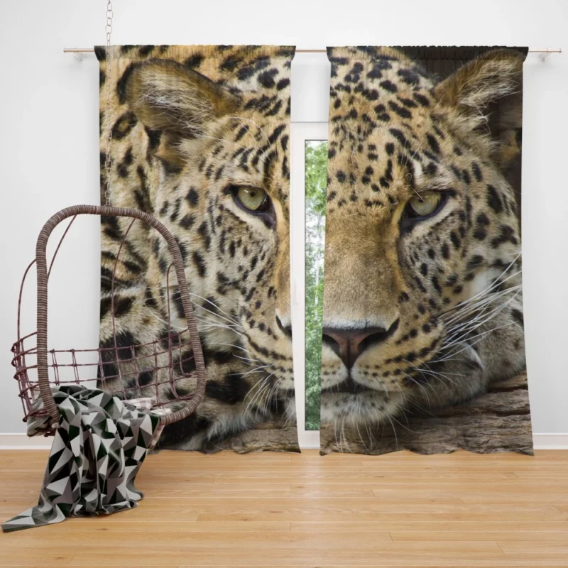 Graceful Leopard Enigmatic Charm Curtain