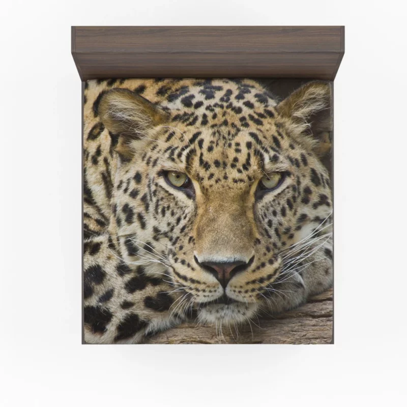 Graceful Leopard Enigmatic Charm Fitted Sheet 1