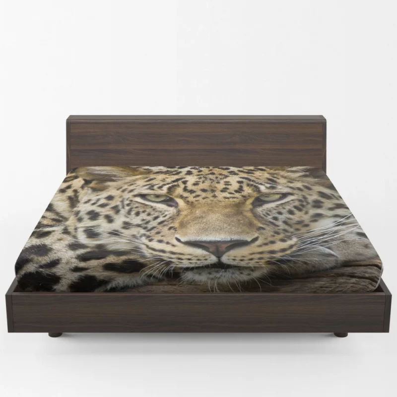 Graceful Leopard Enigmatic Charm Fitted Sheet