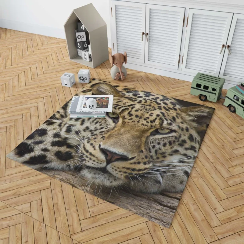 Graceful Leopard Enigmatic Charm Rug 1