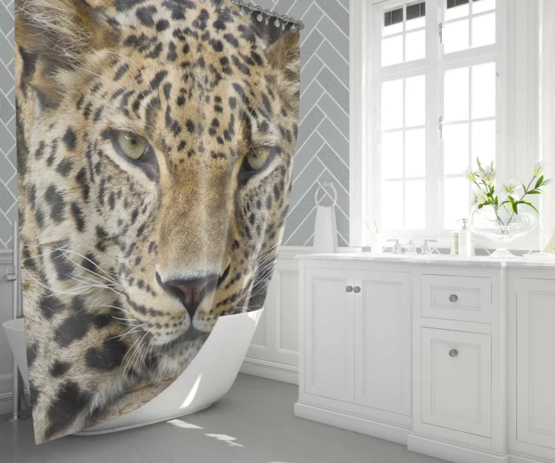 Graceful Leopard Enigmatic Charm Shower Curtain 1