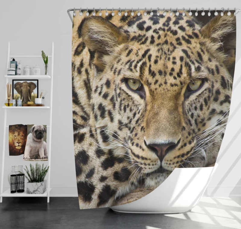 Graceful Leopard Enigmatic Charm Shower Curtain