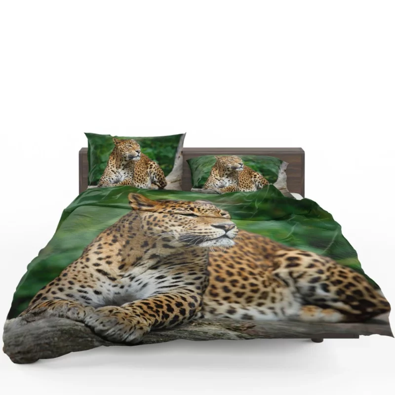 Graceful Leopard Wilderness Charm Bedding Set