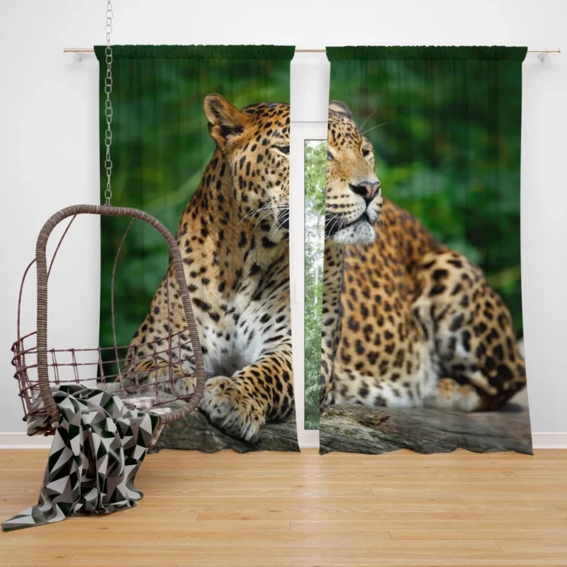 Graceful Leopard Wilderness Charm Curtain