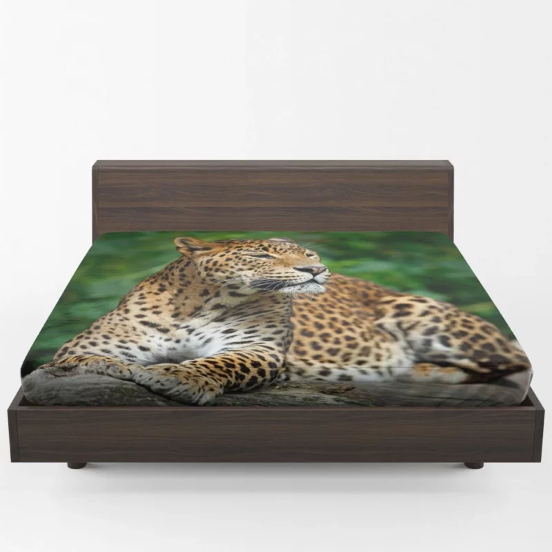 Graceful Leopard Wilderness Charm Fitted Sheet