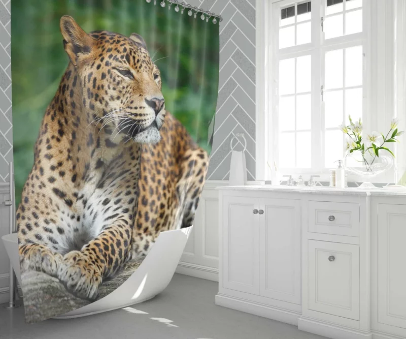 Graceful Leopard Wilderness Charm Shower Curtain 1