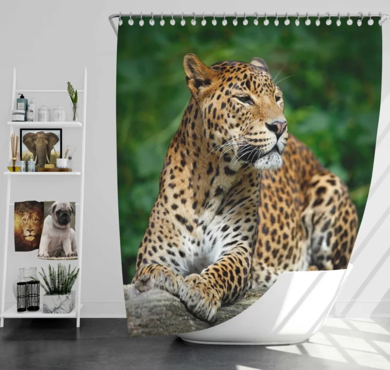 Graceful Leopard Wilderness Charm Shower Curtain