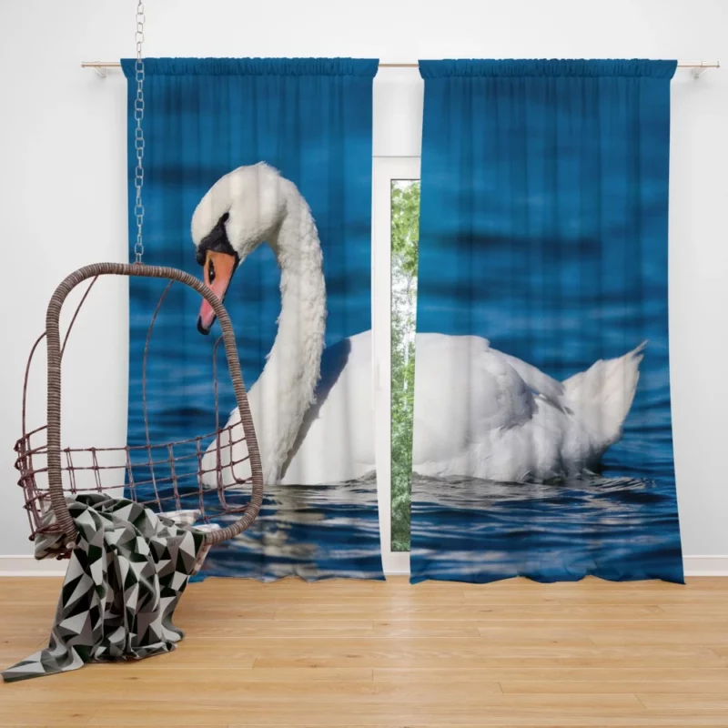 Graceful Waters Elegance of the Mute Swan Curtain