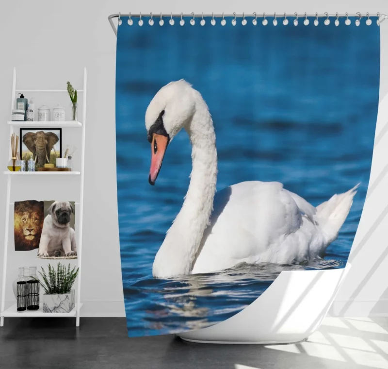 Graceful Waters Elegance of the Mute Swan Shower Curtain