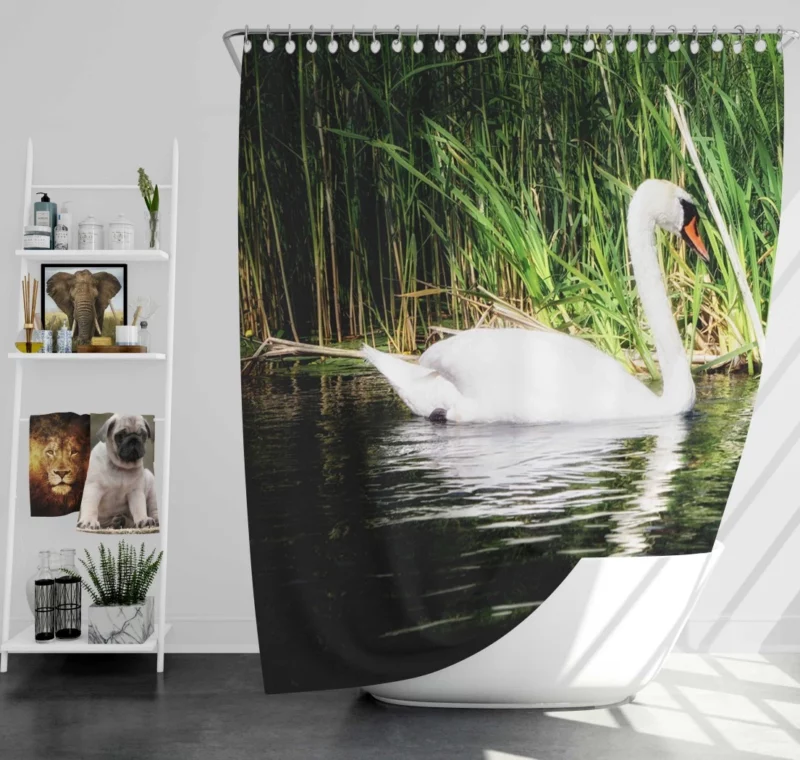 Graceful Waters Elegance of the Swan Shower Curtain