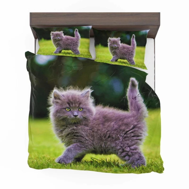 Gray Fluffy Kitten Bedding Set 1