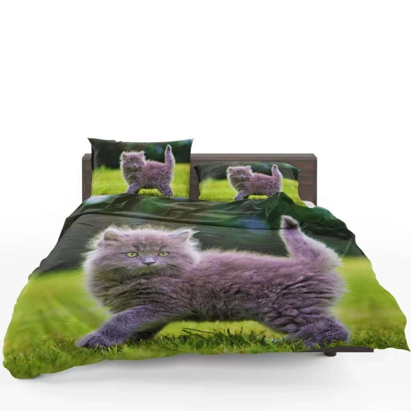 Gray Fluffy Kitten Bedding Set