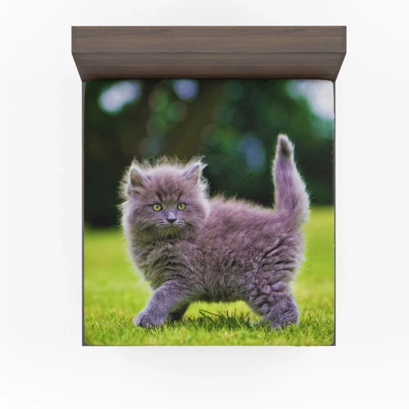 Gray Fluffy Kitten Fitted Sheet 1