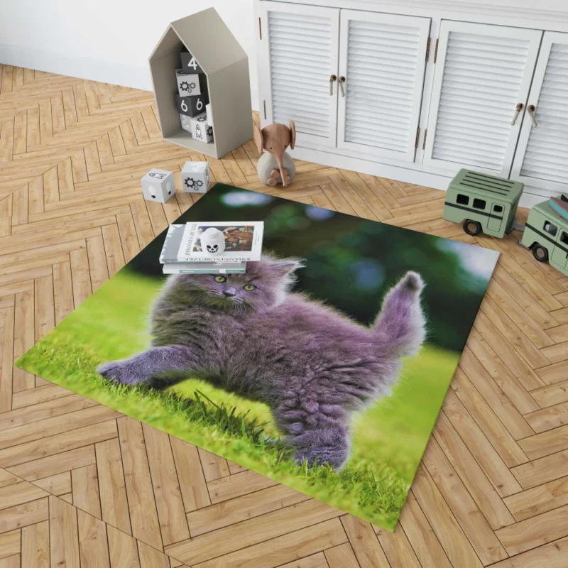 Gray Fluffy Kitten Rug 1