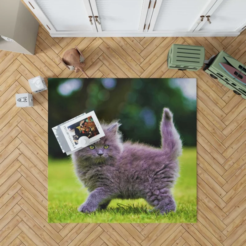 Gray Fluffy Kitten Rug