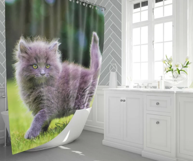 Gray Fluffy Kitten Shower Curtain 1