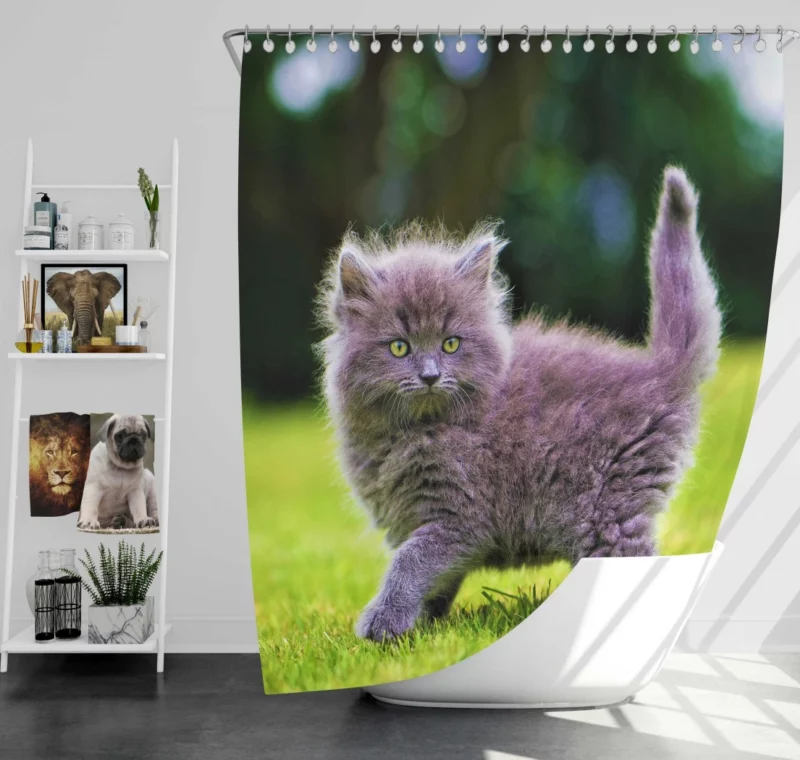 Gray Fluffy Kitten Shower Curtain