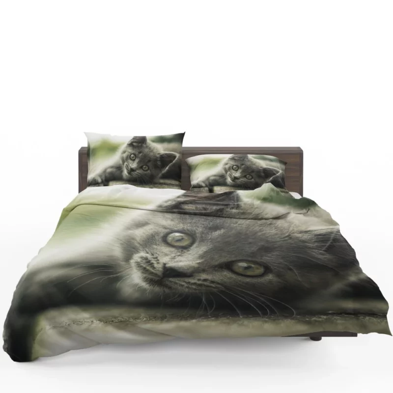 Gray Kitten Adorable Innocence Bedding Set