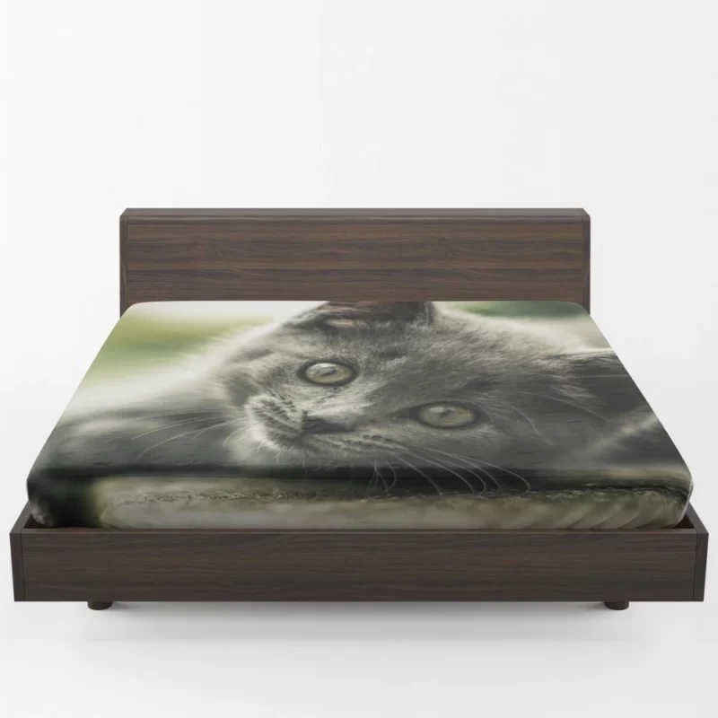 Gray Kitten Adorable Innocence Fitted Sheet