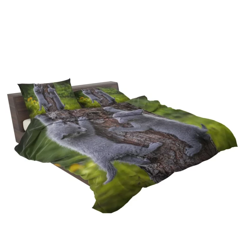 Gray Kittens Climbing Tree Furry Play Bedding Set 2