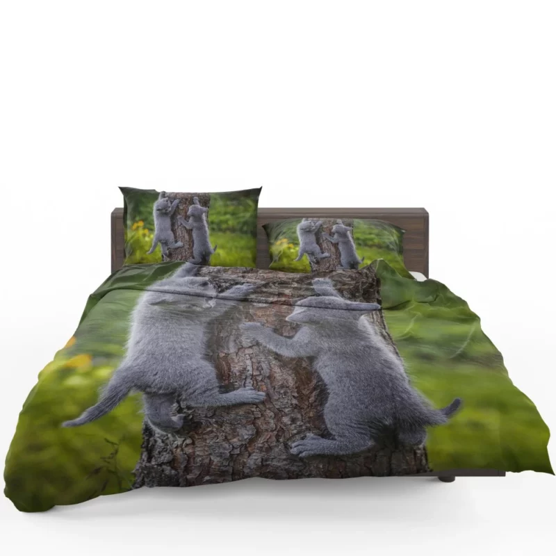 Gray Kittens Climbing Tree Furry Play Bedding Set