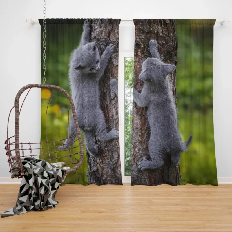 Gray Kittens Climbing Tree Furry Play Curtain