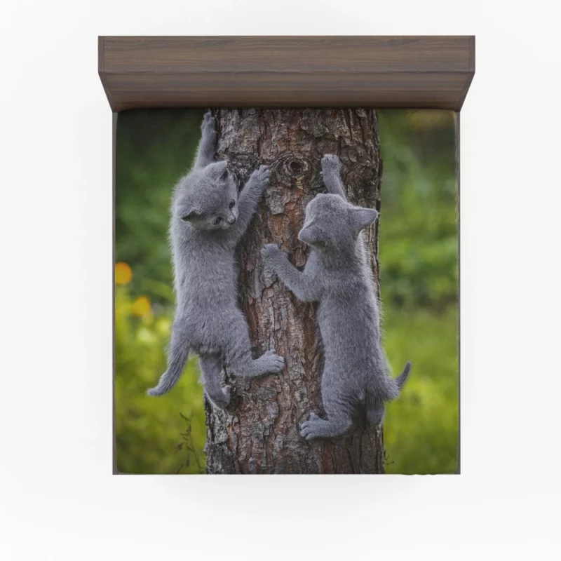 Gray Kittens Climbing Tree Furry Play Fitted Sheet 1