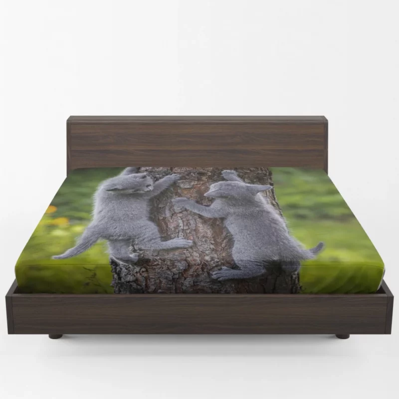 Gray Kittens Climbing Tree Furry Play Fitted Sheet