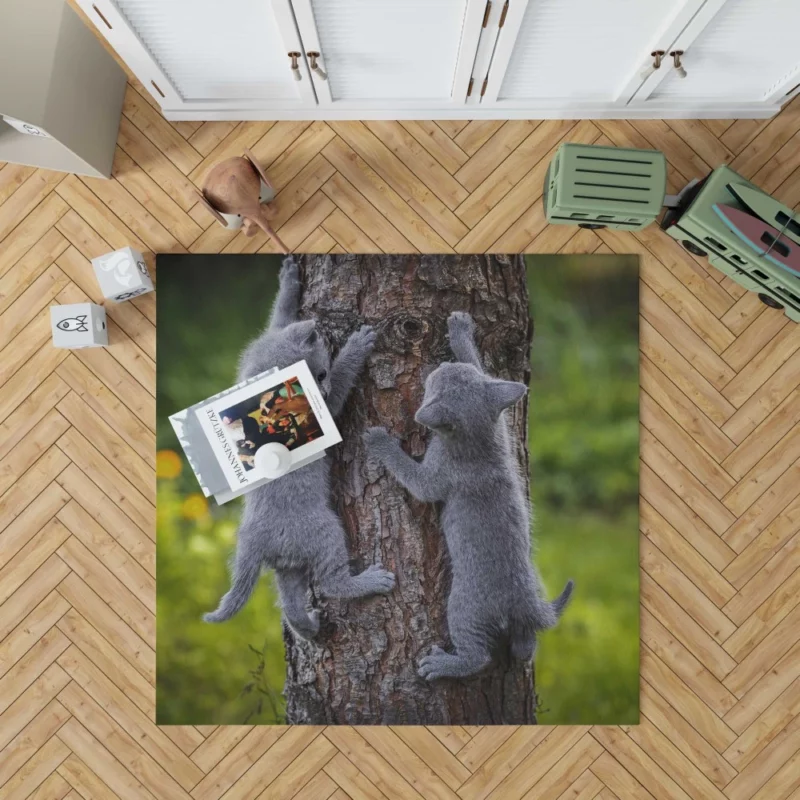 Gray Kittens Climbing Tree Furry Play Rug