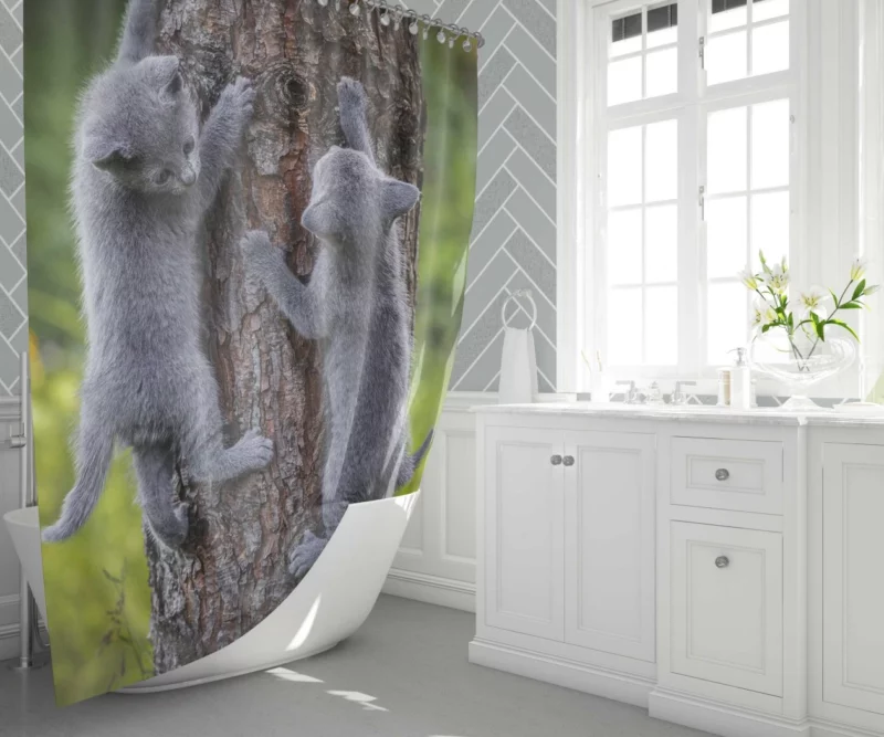 Gray Kittens Climbing Tree Furry Play Shower Curtain 1