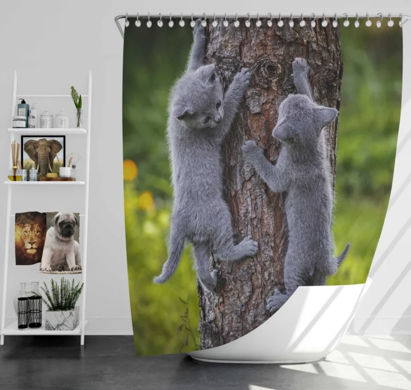 Gray Kittens Climbing Tree Furry Play Shower Curtain