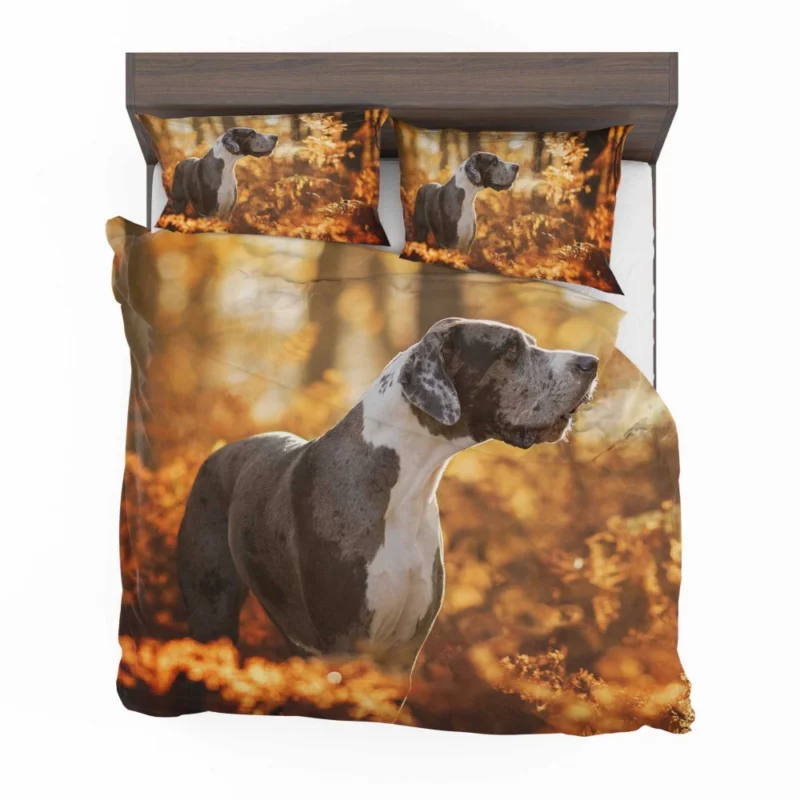 Great Dane Fall Stroll Elegant Beauty Bedding Set 1