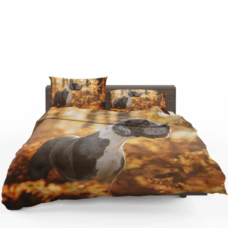 Great Dane Fall Stroll Elegant Beauty Bedding Set