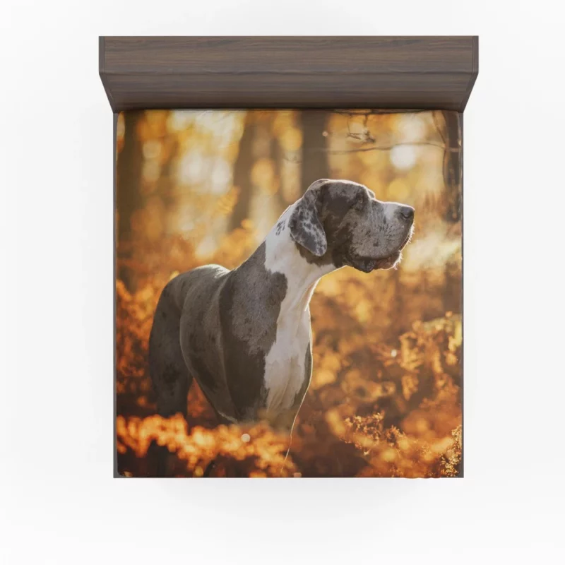 Great Dane Fall Stroll Elegant Beauty Fitted Sheet 1