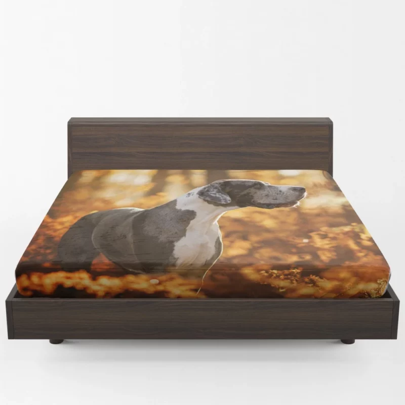 Great Dane Fall Stroll Elegant Beauty Fitted Sheet