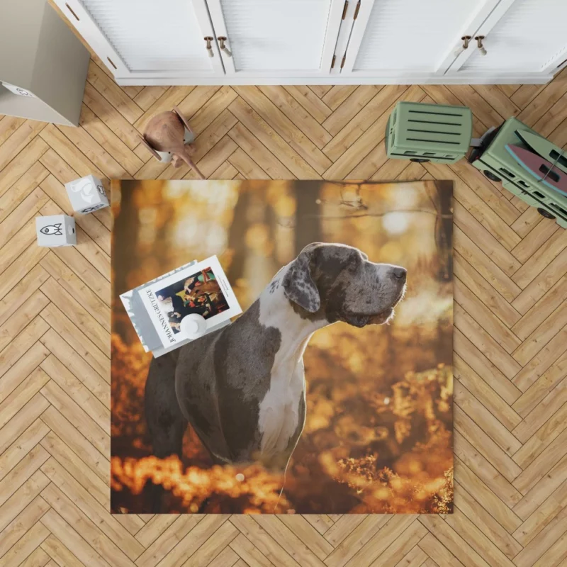 Great Dane Fall Stroll Elegant Beauty Rug