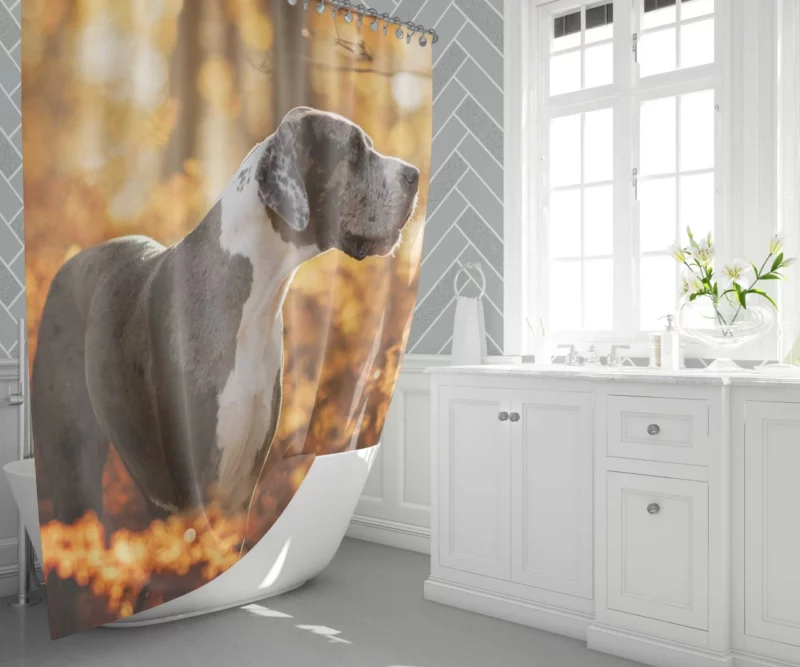 Great Dane Fall Stroll Elegant Beauty Shower Curtain 1