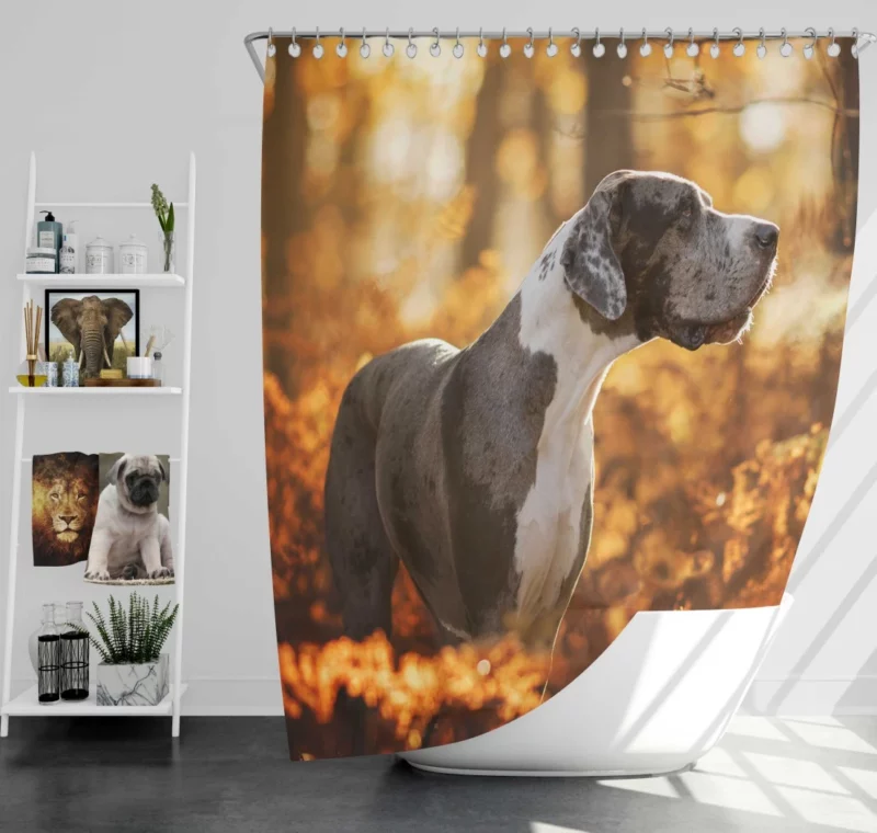 Great Dane Fall Stroll Elegant Beauty Shower Curtain