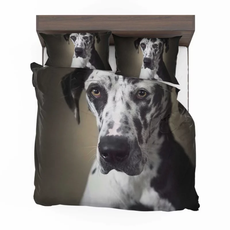 Great Dane Majestic Gaze Canine Dominance Bedding Set 1