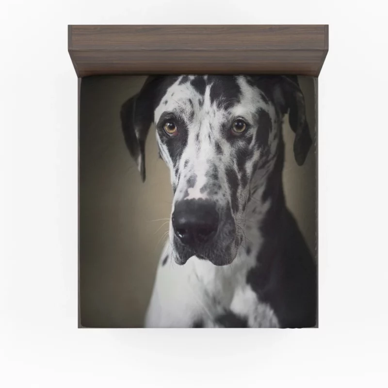 Great Dane Majestic Gaze Canine Dominance Fitted Sheet 1