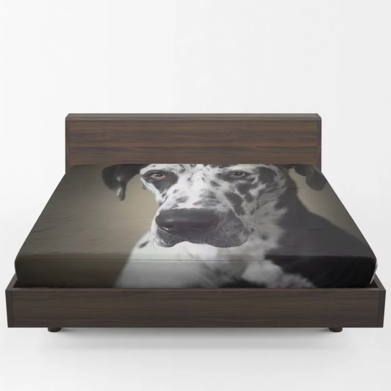 Great Dane Majestic Gaze Canine Dominance Fitted Sheet