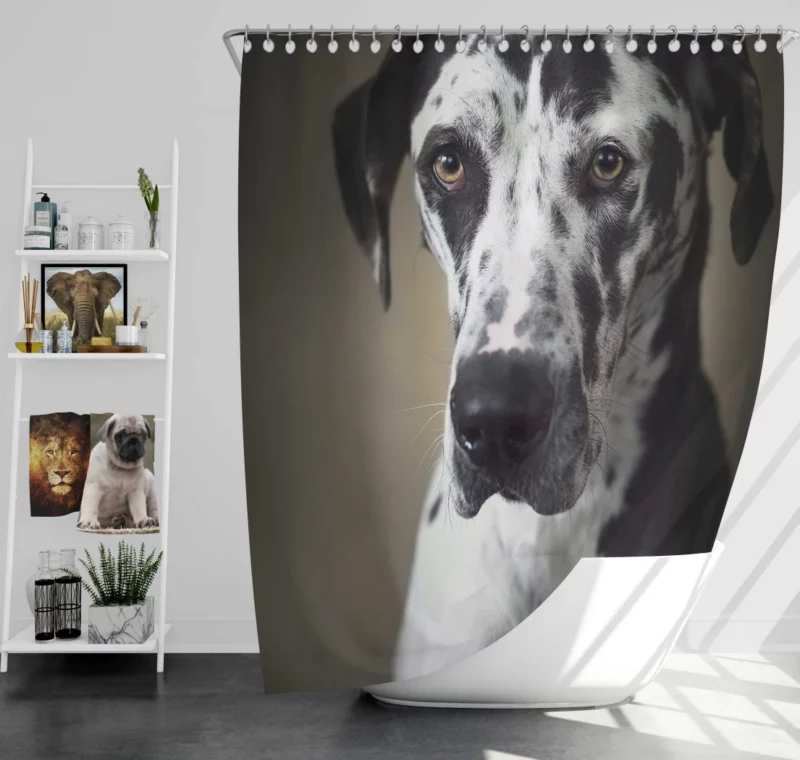 Great Dane Majestic Gaze Canine Dominance Shower Curtain