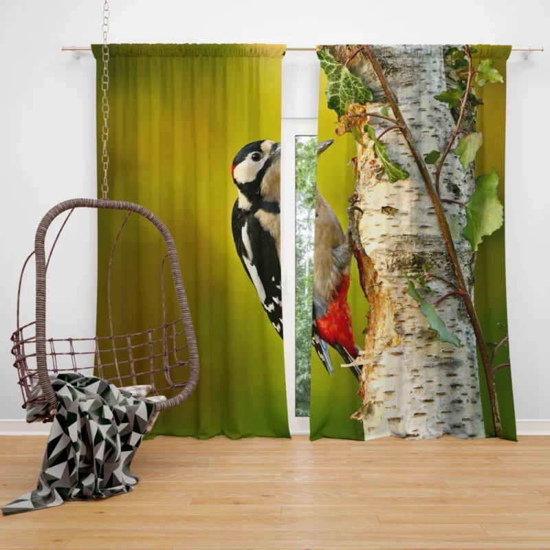 Great Spotted Woodpecker Playful Essence Curtain