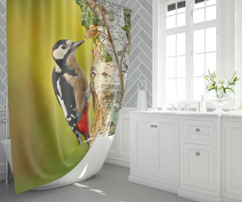 Great Spotted Woodpecker Playful Essence Shower Curtain 1