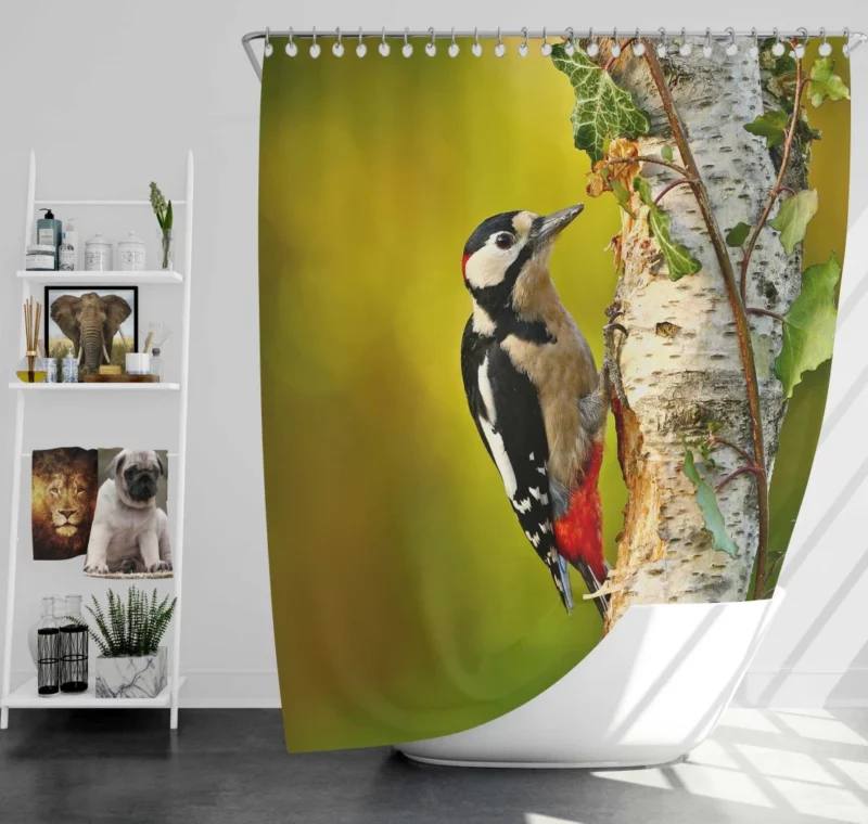 Great Spotted Woodpecker Playful Essence Shower Curtain