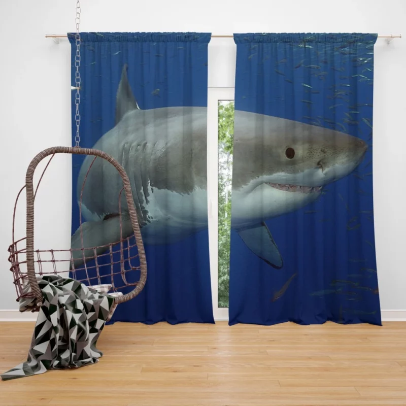 Great White Shark Oceanic Presence Curtain