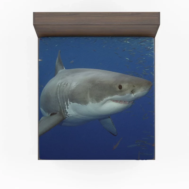 Great White Shark Oceanic Presence Fitted Sheet 1