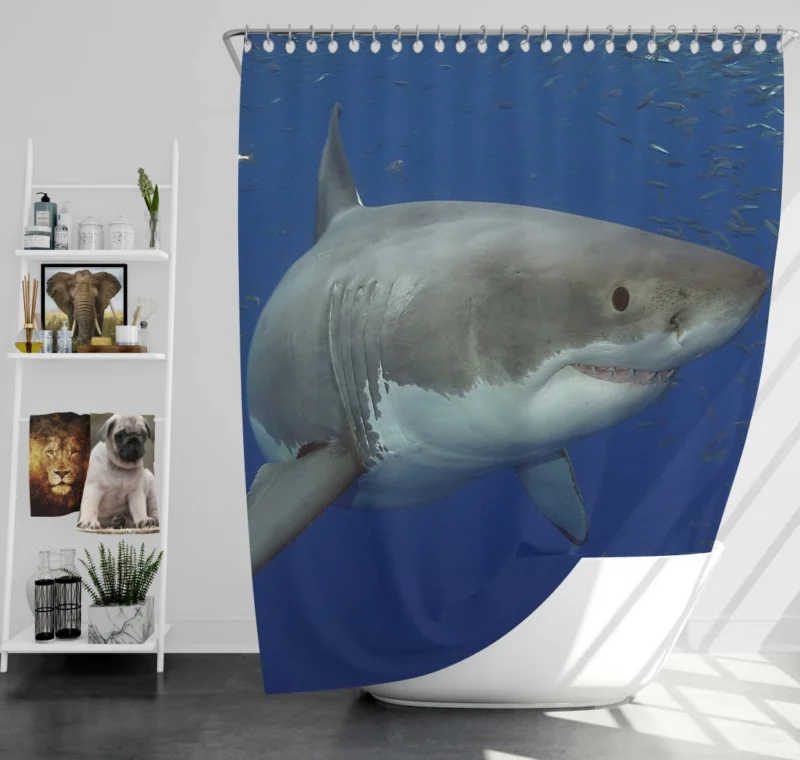 Great White Shark Oceanic Presence Shower Curtain