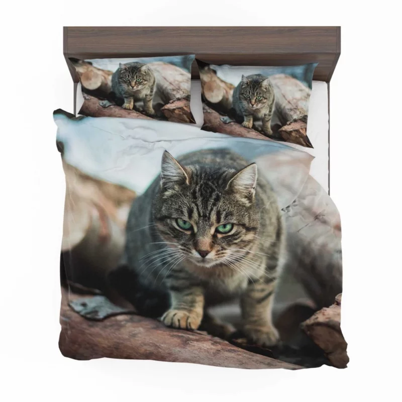 Green-Eyed Cat Mesmerizing Stare Bedding Set 1